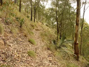 Track to the northern viewpoint near Mt Sugarloaf