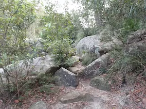 Track to Jellybean Pool