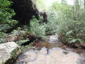Track near the top of Martins Falls