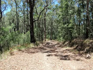 Sid Pulsford Walking trail