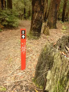 Track marker near German Point Rd in the Watagans
