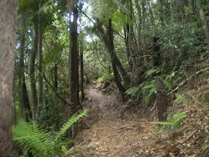 The shrouded track below the cliffs