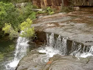 Mt Bass- Winifred Falls
