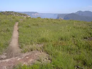 Hay Wall Track