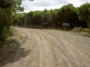 The Squeeze Way