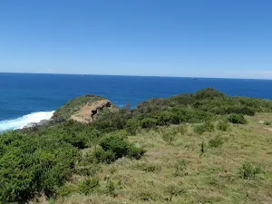 View east from whale watching area on Wybung Head
