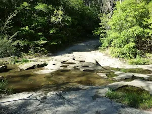 Little Flaggy CreekTransverse Section 