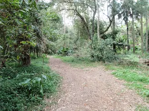 Easy walking