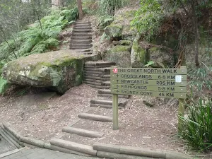 Thornleigh to Galston Gorge