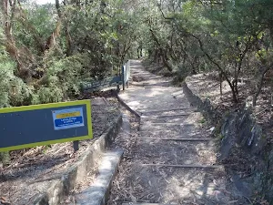 Stairs down from Conservation Hut