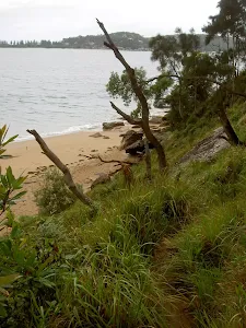 Resolute Beach