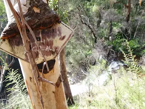 Sign in tree