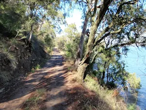 Heading up the Pacific Trail