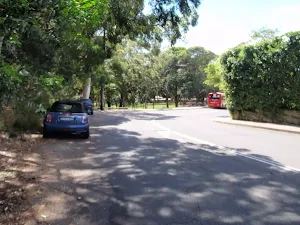 Walking along Vaucluse Rd