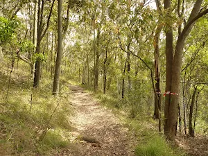 Red track near the Mt Sugarloaf car park