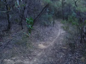 Narrow track
