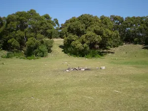Campsite at the end of the Beachcomber Rd Servicetrail