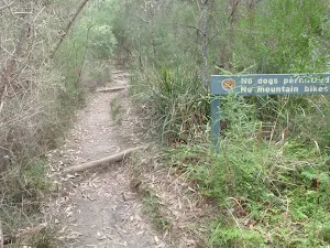 Eastern end of Fairlylands track