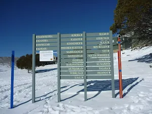 Signs on Wheatley Rd