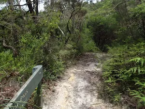 Prince Henry Cliff walk