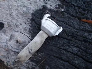 National Parks fire hose