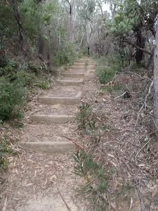 Stepped track up to Gladstone Rd