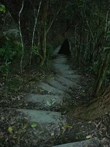 Looking down the steps to Glenrock Beach tracks 