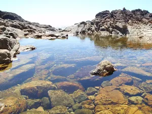Rock pool at rocky beach