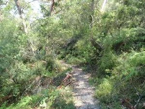 The track up to the Sphinx