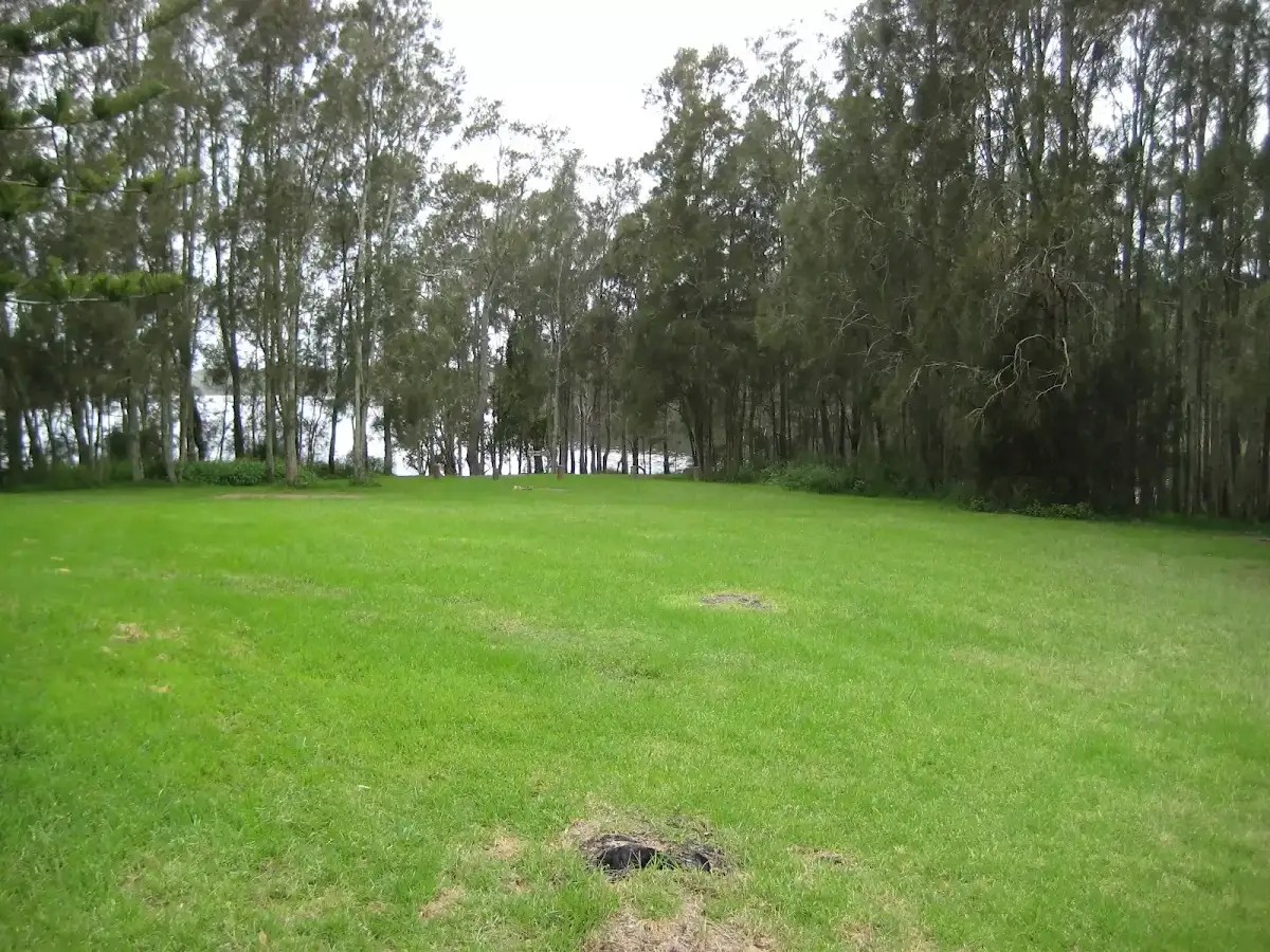 Boolambayte Lake: Violet Hill