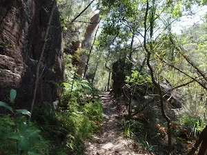 Warrimoo Track