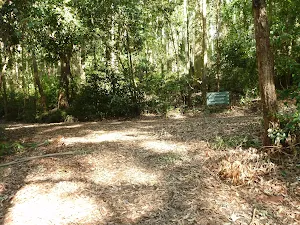 Intersection and sign in the Blackbutt Reserve