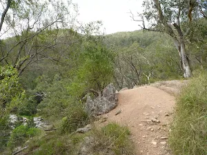 Six Foot track on the east side of the Coxs River