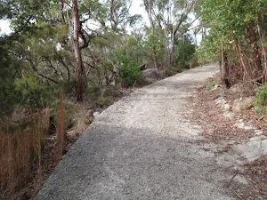 Near the bottom of Stringybark ridge