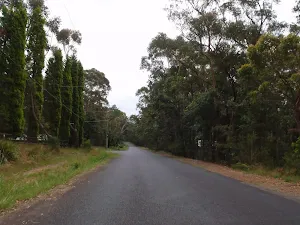 Taylors Rd