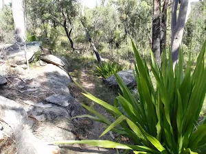 A patch of green