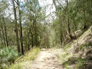 The steep zigzag along Turners Road
