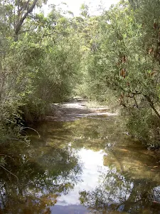 America Bay Track past creek