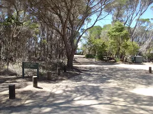 Track into Bournda Lagoon car park