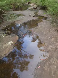 Rock pools