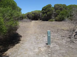 Arrow marker beside Kangarutha Track