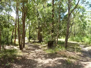 Track near the large green water tank on the Wallarah Pennisula