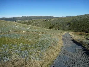 Path looking south to Carruthers Creek Valley