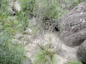 Walking along the bank of Erskine Creek