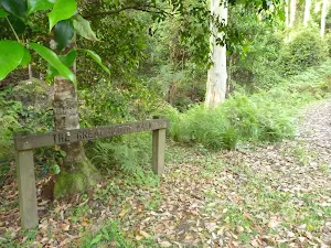 Sign near Basin campsite in the Watagans