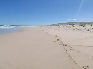 Looking south along Birdie Beach