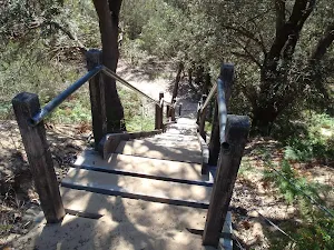Stairs up dunes behind Wallagoot Beach