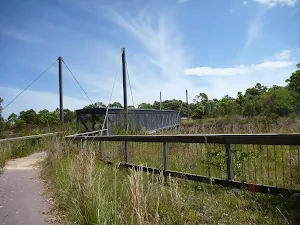 Fencing approaching the pedestrian over bridge on the Wallarah Pennisula Walk