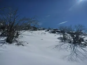 Climbing the side of Mt Piper