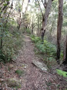 Pierces Pass track